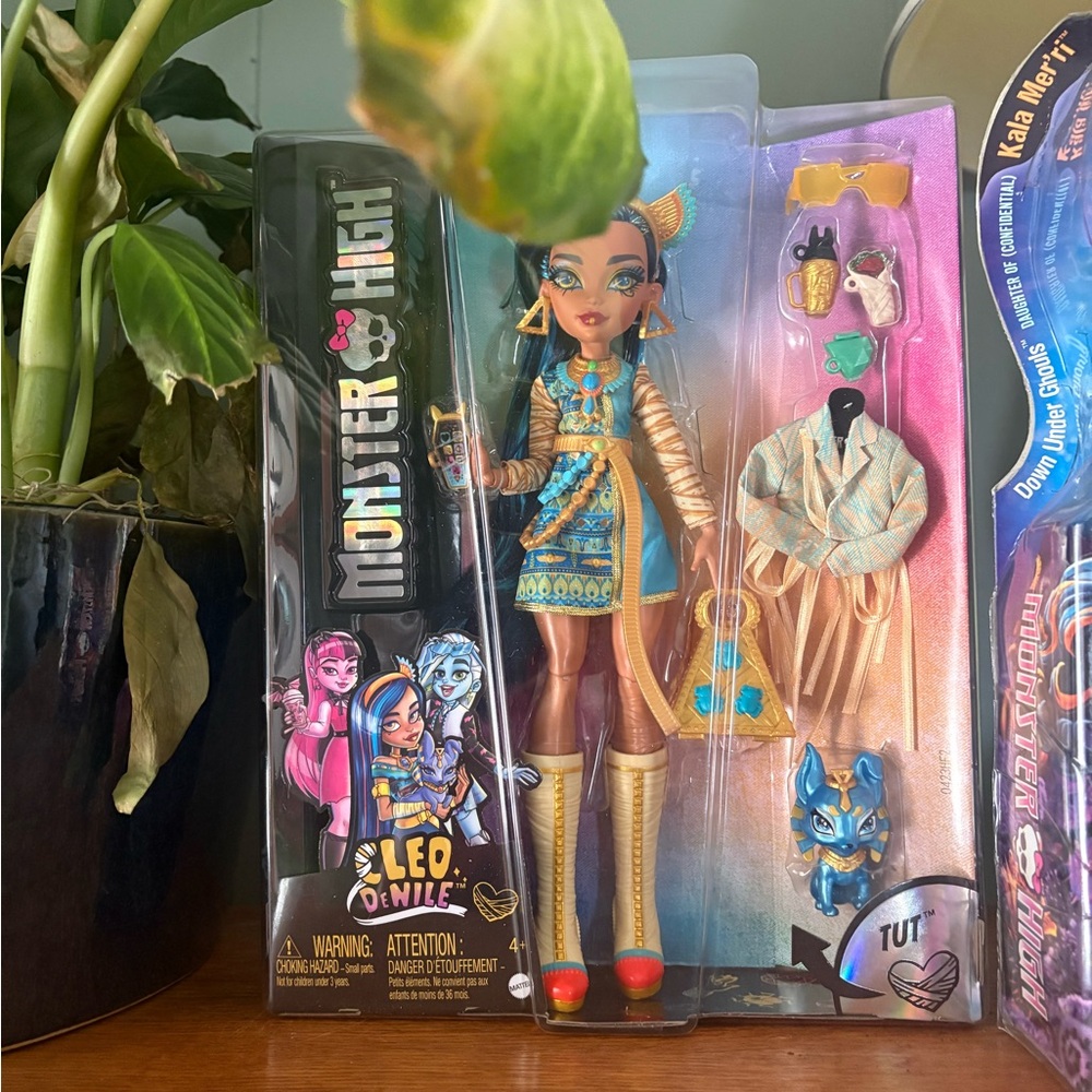 Monster High Doll with Accessories